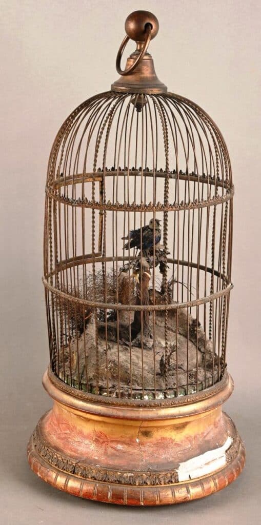 Automate: Cage à oiseaux chanteur.